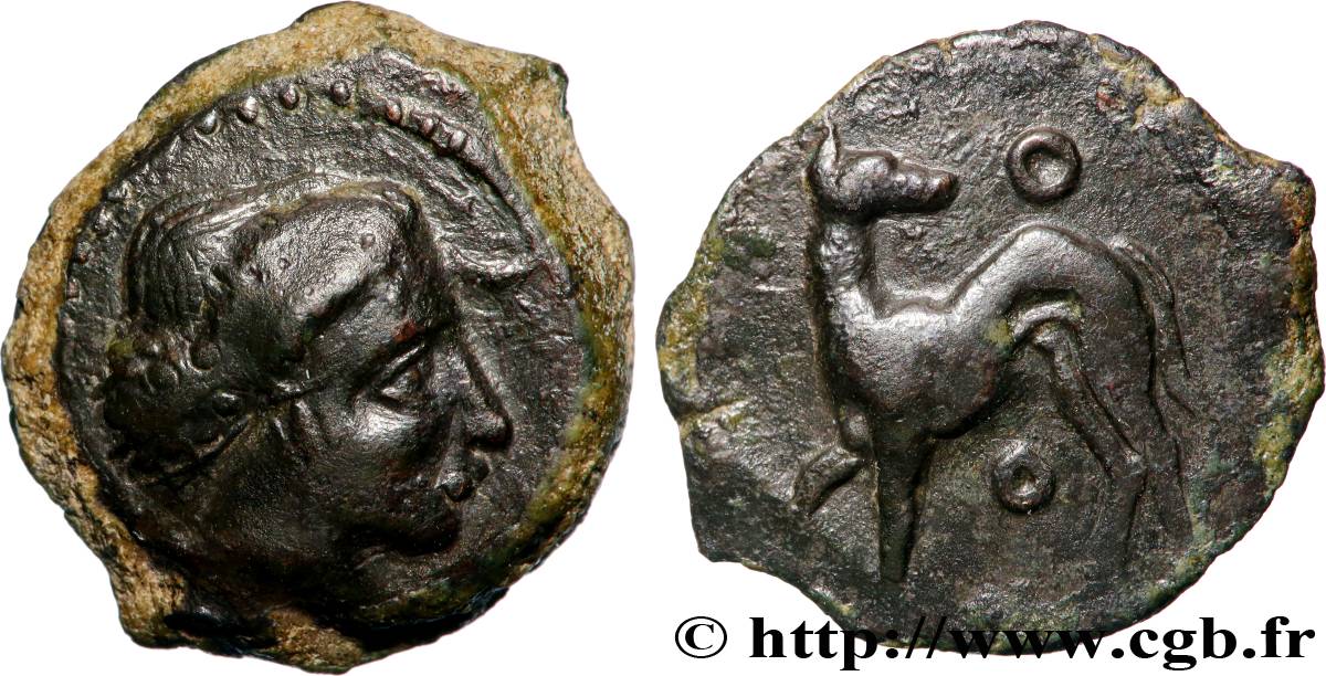 SICILE - ERYX Onkia TTB