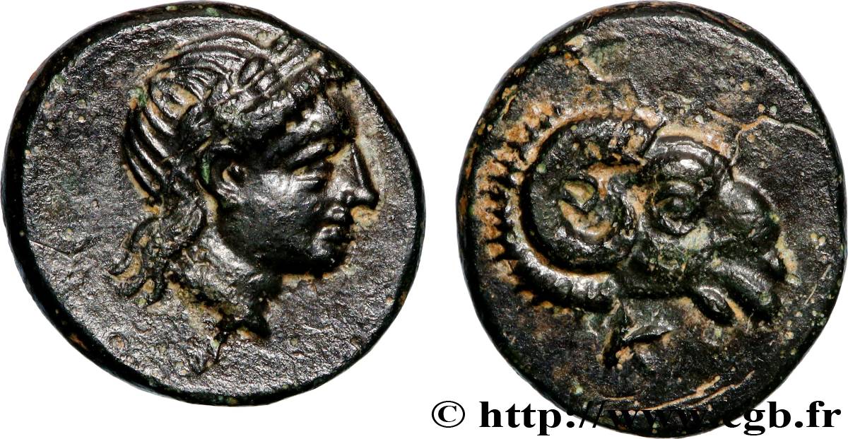 TROADE - CEBREN Demi-unité SUP