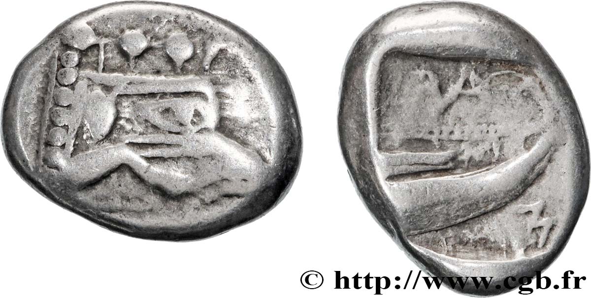 LYCIA - PHASELIS Tétrobole XF