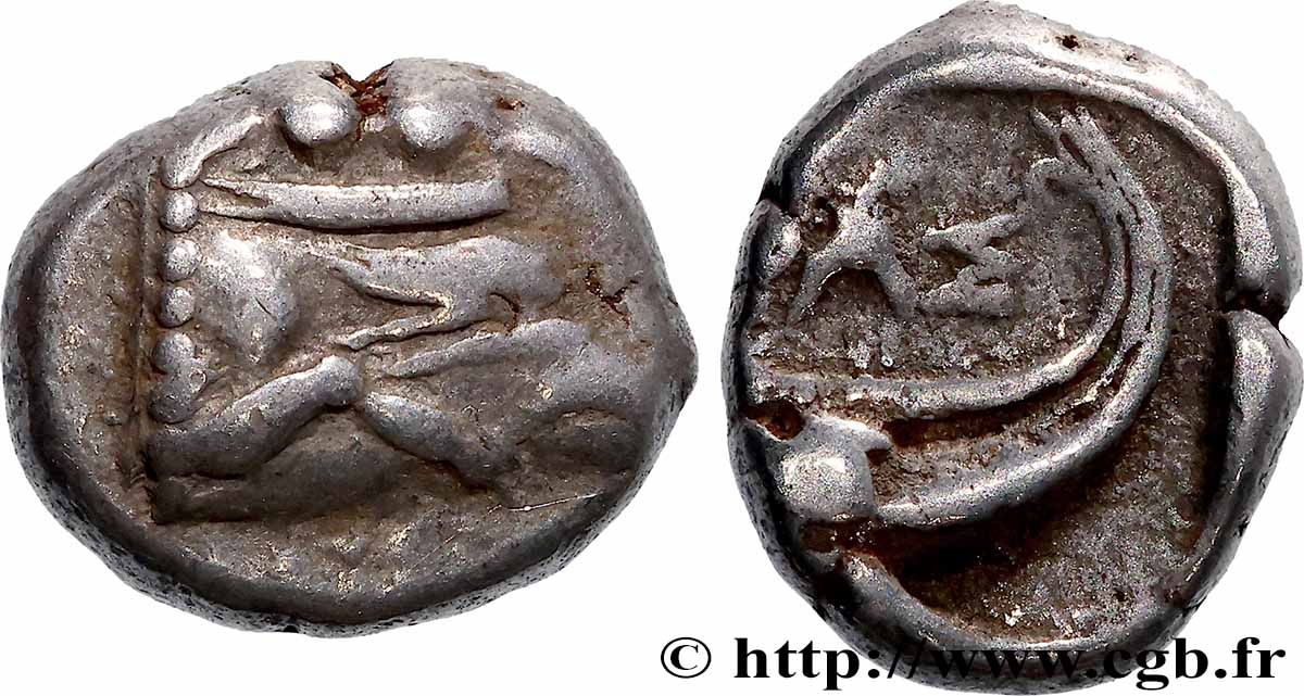 LYCIE - PHASÉLIS Tétrobole TTB