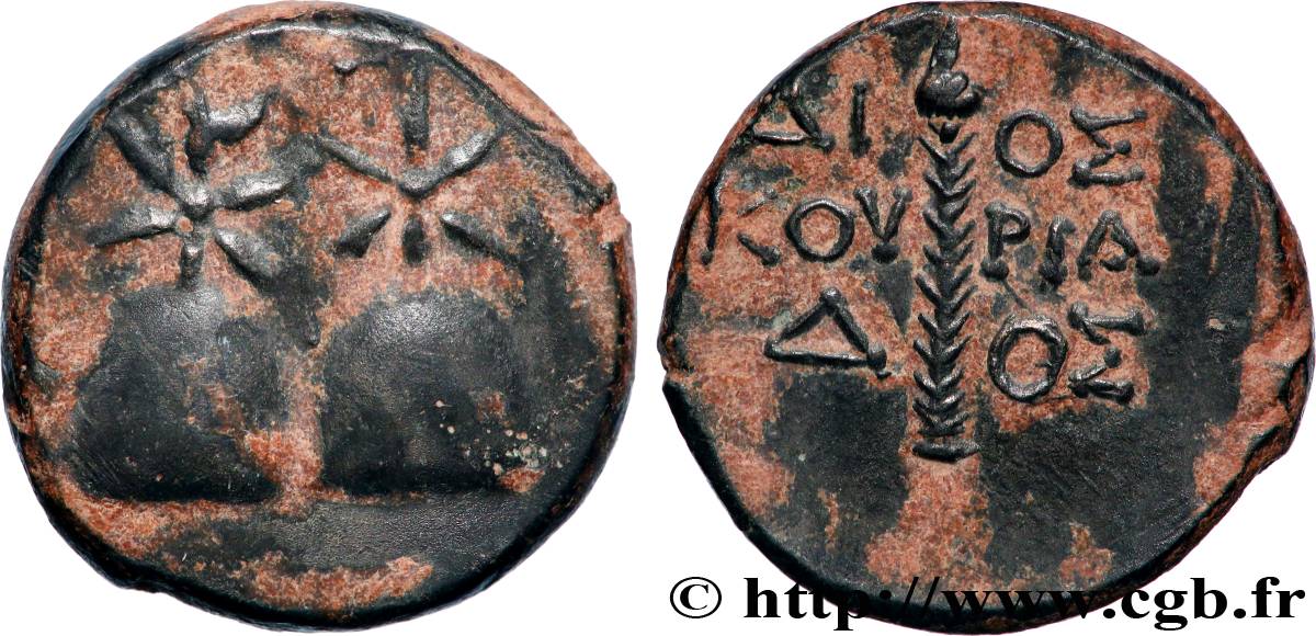 COLCHIS - DIOSKOUROS Unité AU/AU