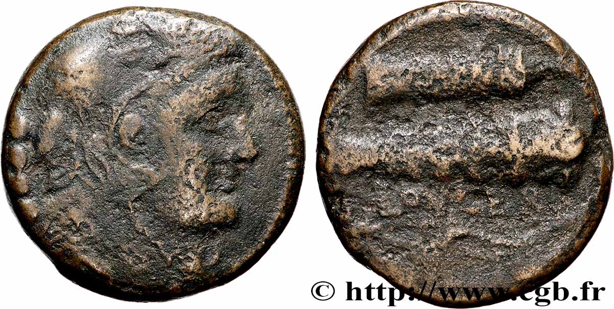 APULIA - LUCERA Quadrunx q.BB