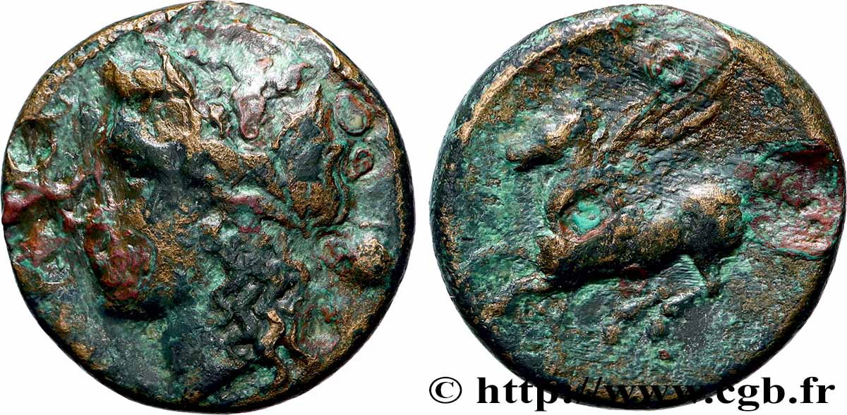 SICILE - SYRACUSE Hemilitron TB+