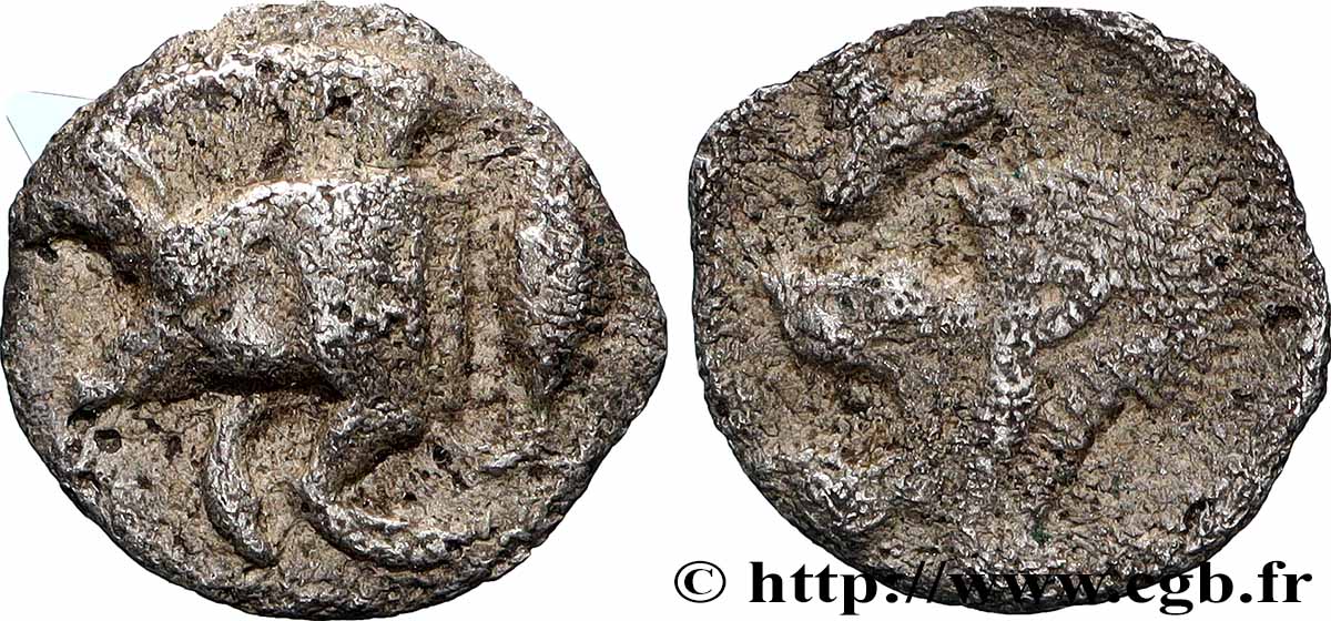 MYSIE - CYZIQUE Hemiobole TB+