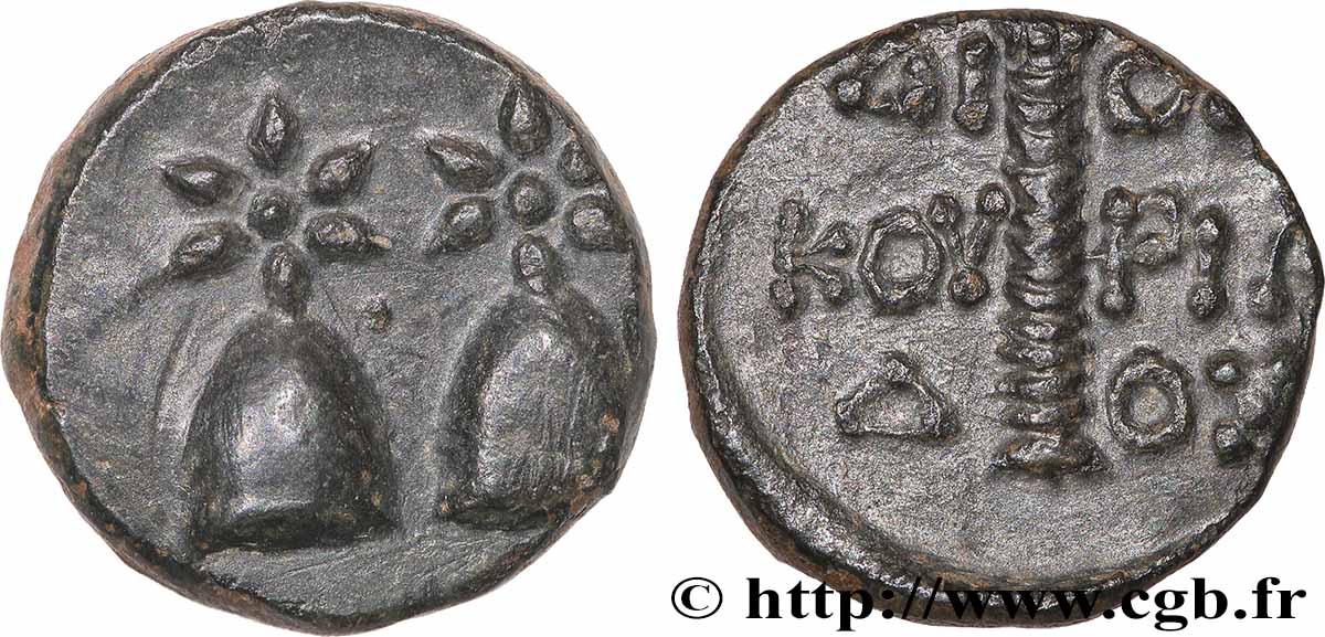 COLCHIDE - DIOSCURIAS Unité TTB+