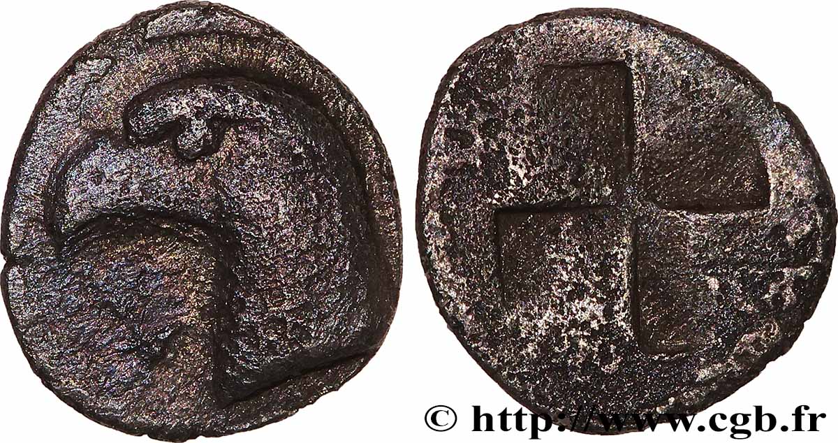 ÉOLIDE - CYMÉ Hemiobole TTB