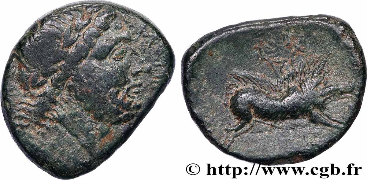 APULIE - ARPI Unité TTB