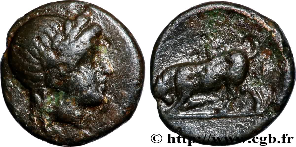 MÍSIA - GAMBRION Quart d’unité MBC