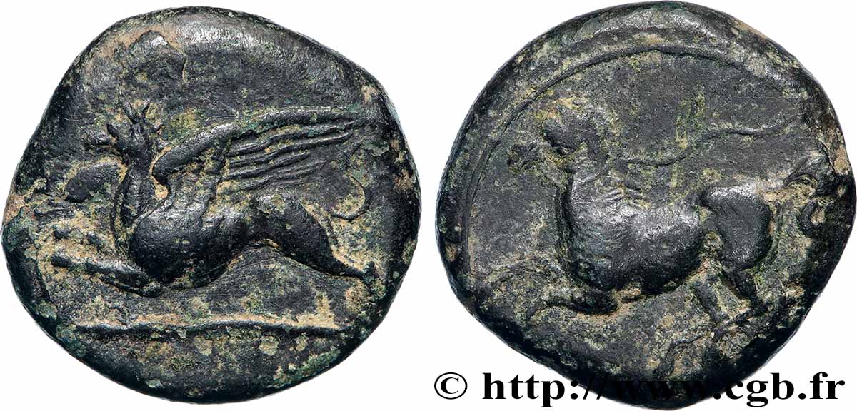 SICILY - ALASEA (KAINON) Hemilitron XF