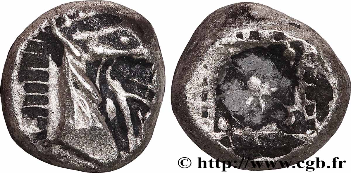 CARIA - KINDYA Tetrobole AU