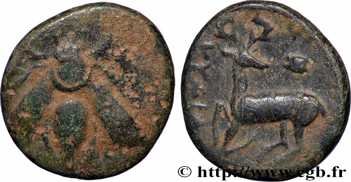 IONIEN - EPHESOS Unité S/fSS