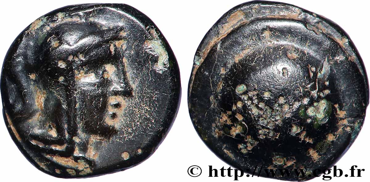 PAMFILIA - ASPENDOS Unité BB/q.BB