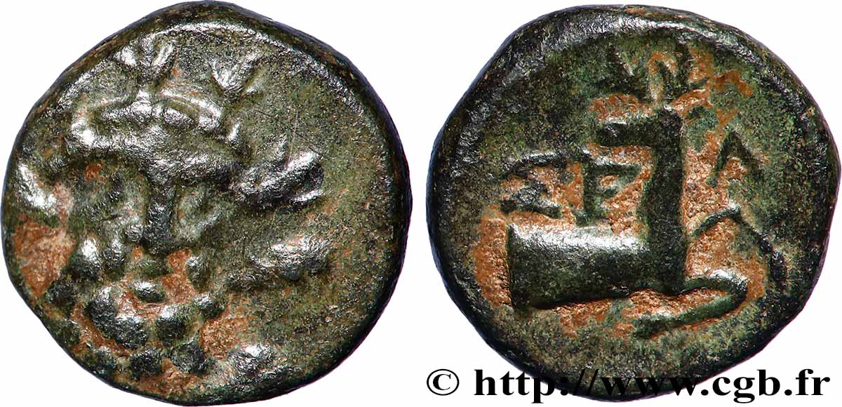 PISIDIA - SELGE Unité XF