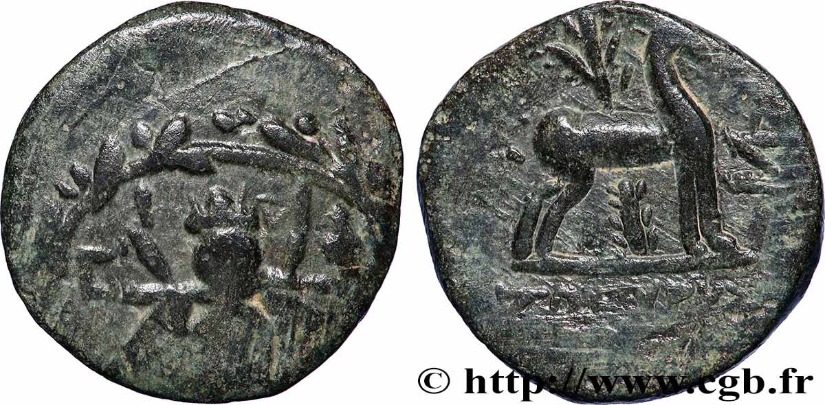 IONIA - EPHESOS Unité XF