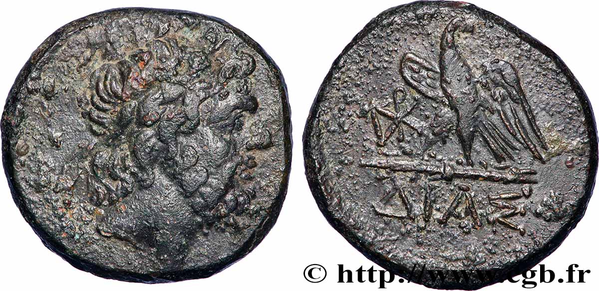 PONTUS - AMISOS Tetrachalque XF