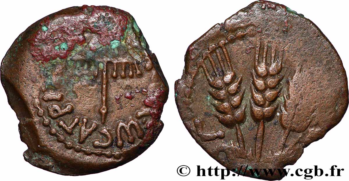 GIUDAE - REGNO DE HERODIUS - AGRIPPA IAgriip Prutah BB