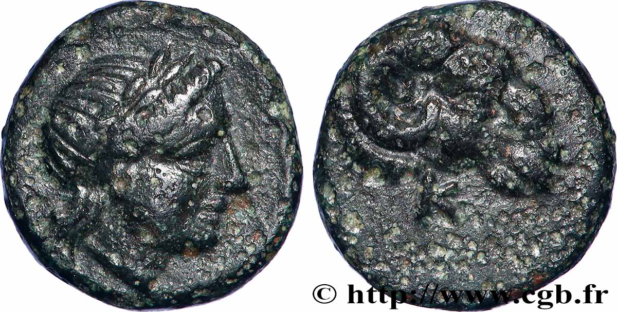 TROAS - CEBRENE Unité XF