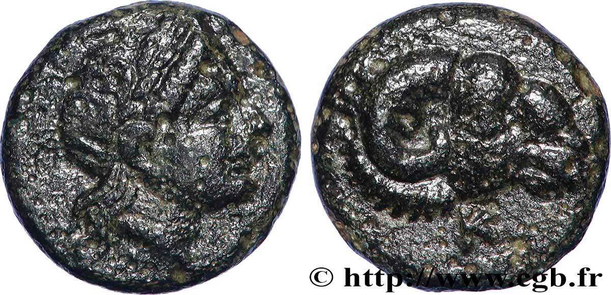 TROAS - CEBRENE Unité XF