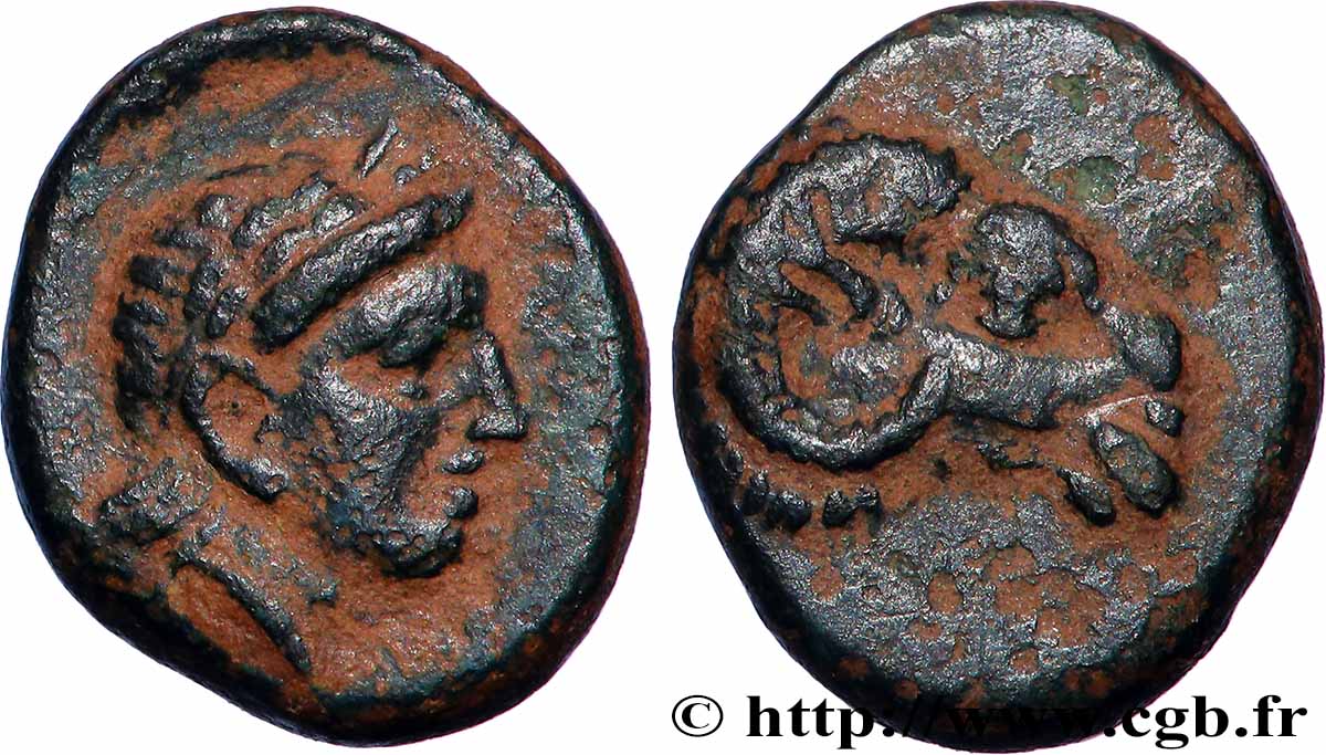 TROAS - CEBRENE Unité XF