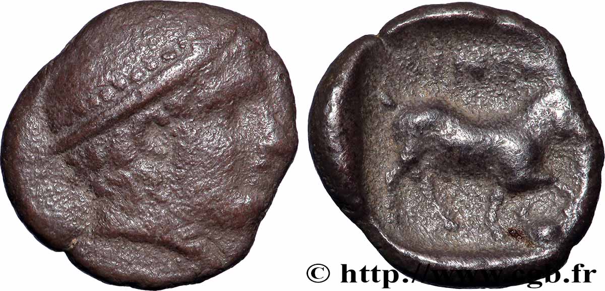 TRACIA - AINOS Diobole BB/q.BB