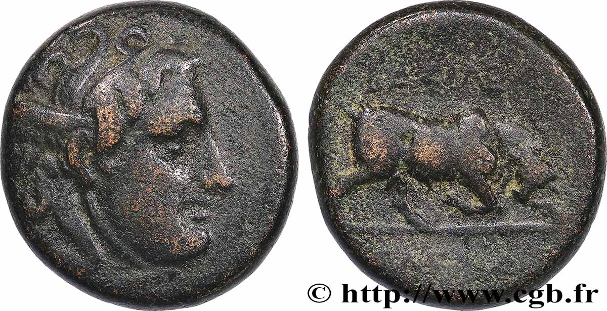 SYRIA - SELEUKID KINGDOM - SELEUKOS I NICATOR Unité VF