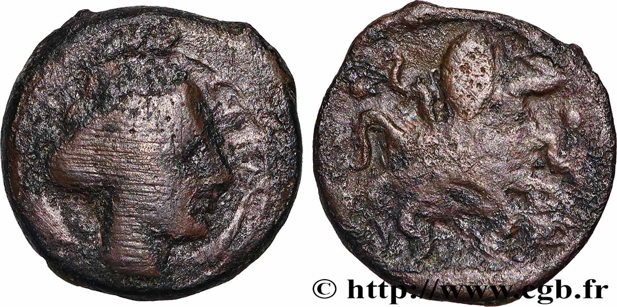 SICILE - SYRACUSE Tetras TB+