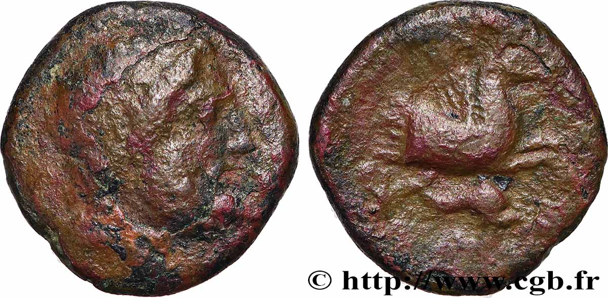 SICILE - PANORME Hexas TB