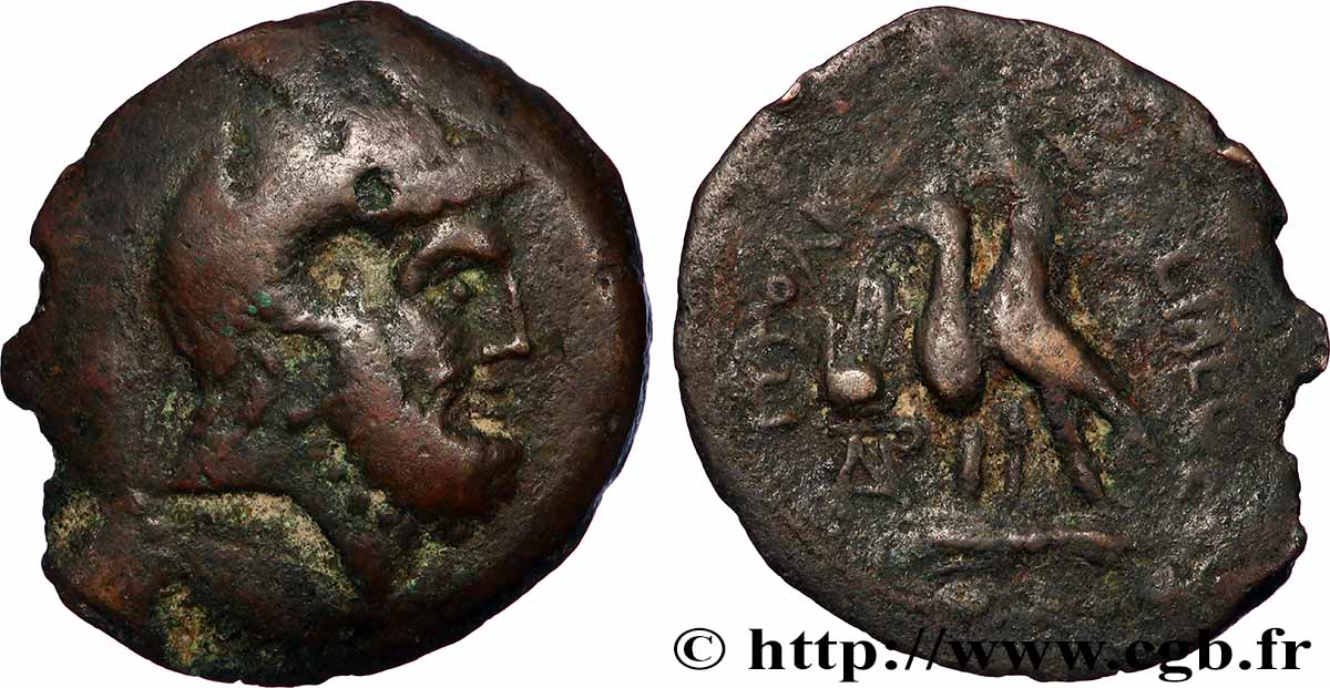 EGYPTUS - PTOLEMAIC KINGDOM - PTOLEMY IX or PTOLEMY X Chalque VF