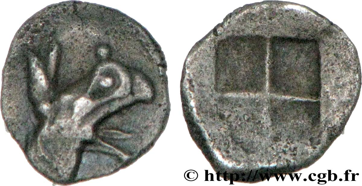 IONIE - TÉOS Tartemorion SUP/TTB