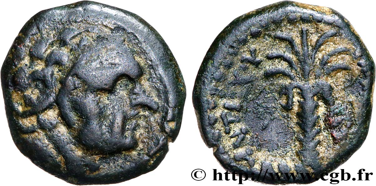 SYRIA - SELEUKID KINGDOM - ANTIOCHUS III THE GREAT Hemichalque XF