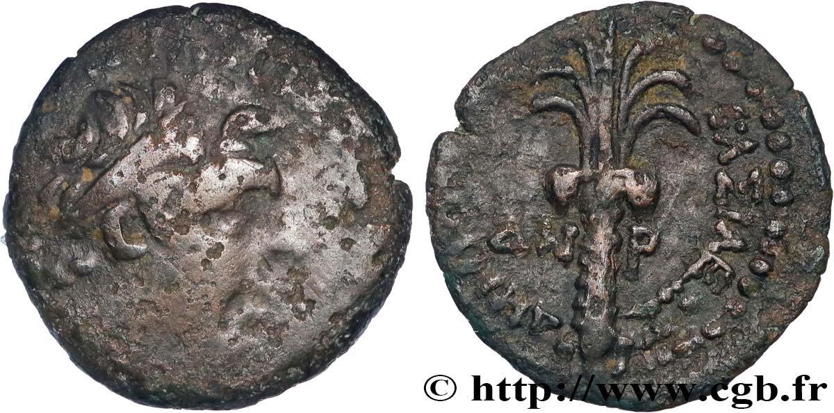 SYRIA - SELEUKID KINGDOM - ANTIOCHOS III THE GREAT Hemichalque VF