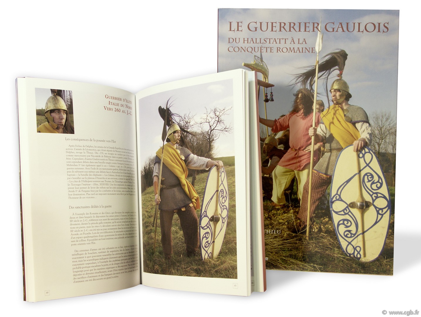 Le guerrier gaulois : Du Hallstatt à la conquête romaine MATTHIEU Franck