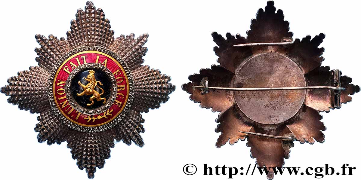 BELGIUM - KINGDOM OF BELGIUM - LEOPOLD II Ordre de Léopold, Plaque de grand cordon XF