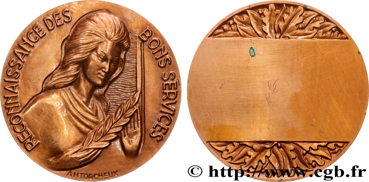 CINQUIÈME RÉPUBLIQUE Médaille, Reconnaissance des bons services SUP/TTB+