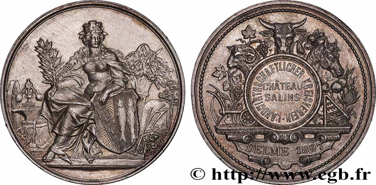 ALLEMAGNE - KÖNIGREICH PREUẞEN - WILHELM II. Médaille, Association de district agricole SS