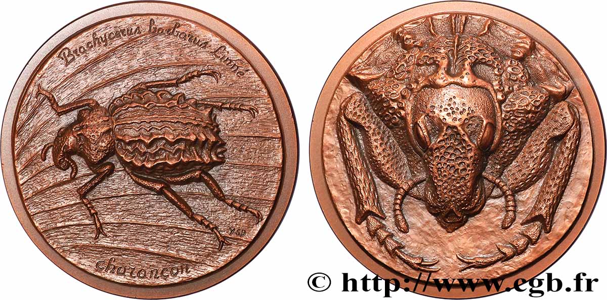 ANIMALS Médaille animalière - Charançon, n°41 AU