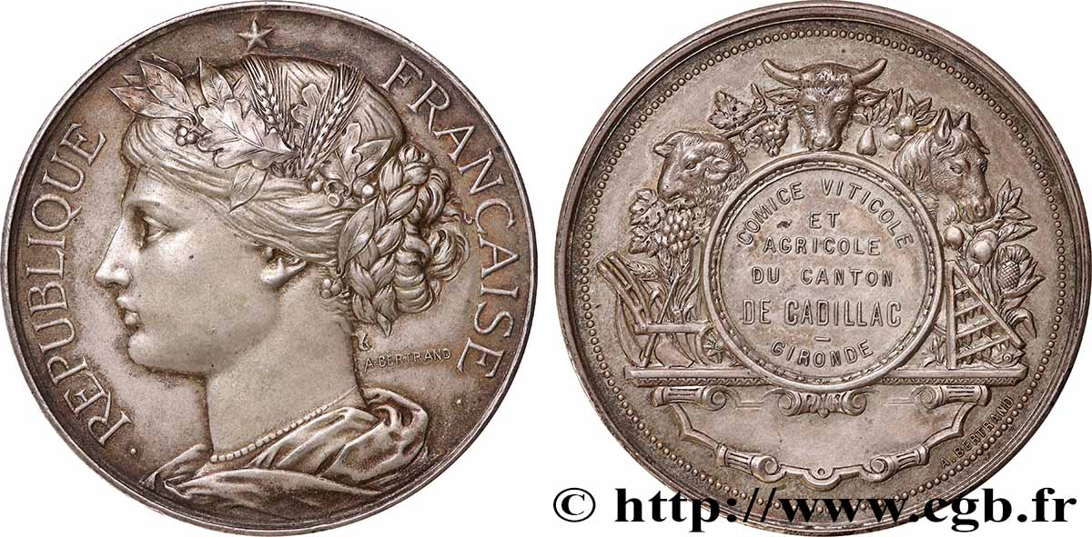 AGRICULTURAL, HORTICULTURAL, FISHING AND HUNTING SOCIETIES Médaille, Comice viticole et agricole AU/AU