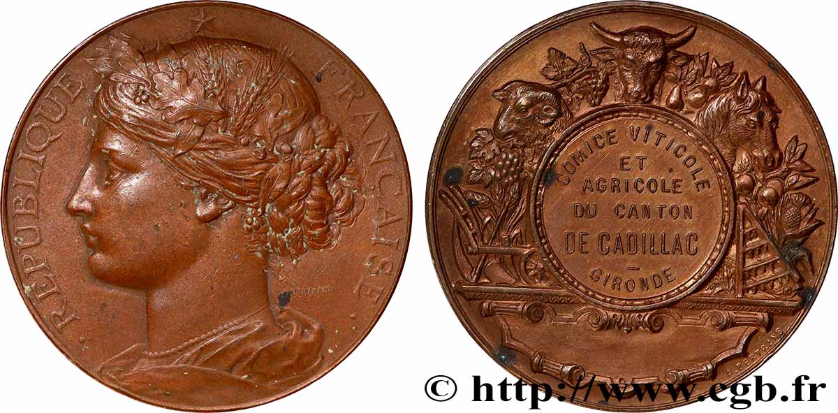 SOCIÉTÉS D AGRICULTURE, HORTICULTURE, PÈCHE ET CHASSE Médaille, Comice viticole et agricole AU/AU