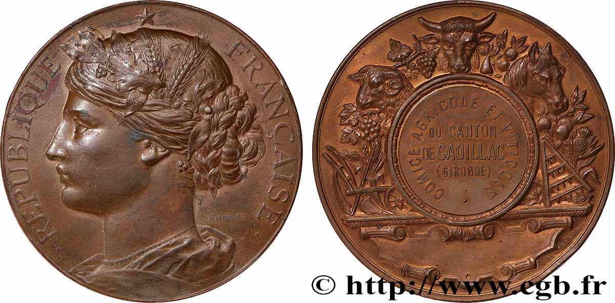 SOCIÉTÉS D AGRICULTURE, HORTICULTURE, PÈCHE ET CHASSE Médaille, Comice viticole et agricole fVZ/VZ