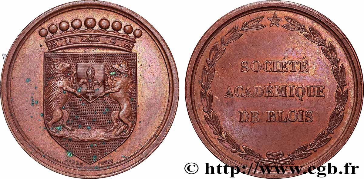 BLOIS ET LE BLAISOIS Médaille, Société académique de Blois fVZ