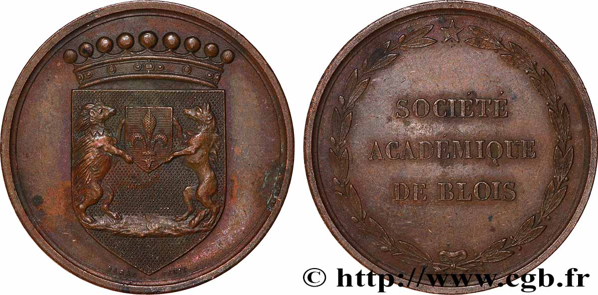 BLOIS ET LE BLAISOIS - NOBLESSE ET VILLES Médaille, Société académique de Blois TTB+