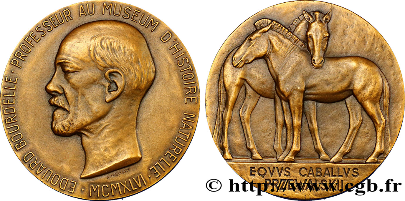 PROVISIONAL GOVERNEMENT OF THE FRENCH REPUBLIC Médaille, Professeur au Museum d’Histoire Naturelle, Cheval Przewalskii AU