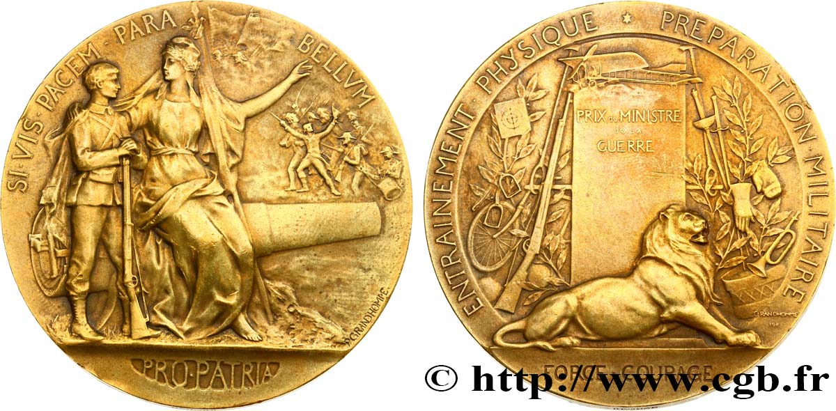 TROISIÈME RÉPUBLIQUE Médaille PRO PATRIA - Préparation militaire TTB