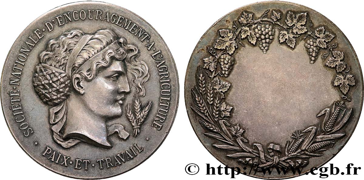 III REPUBLIC Médaille de récompense, Société d’agriculture, Paix et travail AU