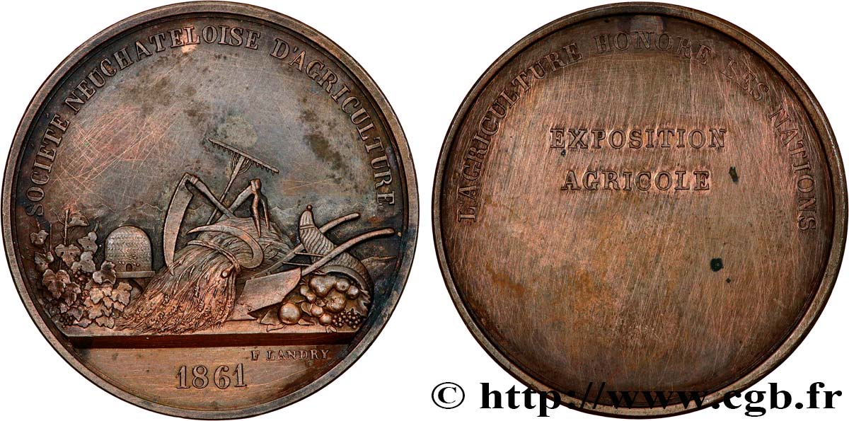SVIZZERA - CANTON ZURIGO Médaille, Ulrich Zwingli SPL
