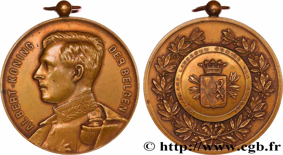 BELGIQUE - ROYAUME DE BELGIQUE - ALBERT Ier Médaille, Comice agricole TTB