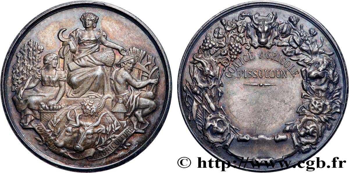 SOCIÉTÉS D AGRICULTURE, HORTICULTURE, PÊCHE ET CHASSE Médaille, Comice agricole TTB+