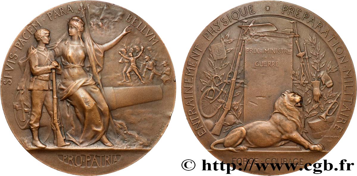 TROISIÈME RÉPUBLIQUE Médaille PRO PATRIA - Préparation militaire TTB+