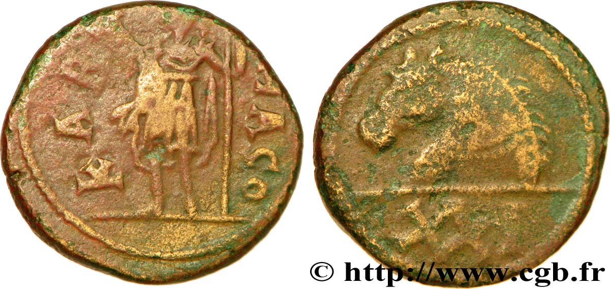 AFRICA - VANDALO - SEMIAUTONÓMO CARTAGO MONEDA Bronze ou 21 nummi, au buste de cheval MBC/BC+