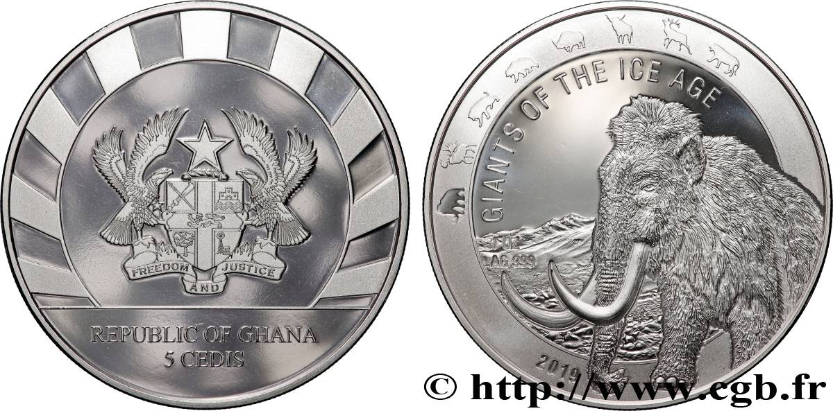 PLATA INVERSIÓN 5 Cedis Mammouth 2019 FDC